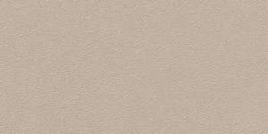 Duo Greige R12 30x60 (600x300)