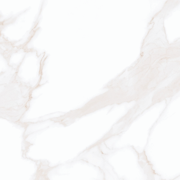 Керамогранит Vizavi ZA-B60304 Butterfly MR 600x600x9 (600x600)