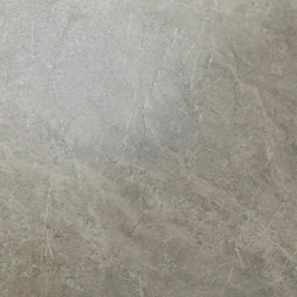 Vizavi Butterfly ZA-B60325 MR 60x60x9