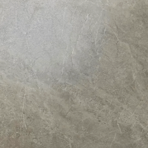 Керамогранит Vizavi ZA-B60325 Butterfly MR 600x600x9 (600x600)