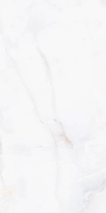 Визави Glazed ZA-D12607 PR 1200x600x9