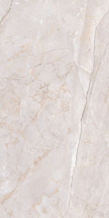 Визави Glazed ZA-D12608 PR 1200x600x9