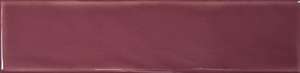 Berry Gloss (300x75)