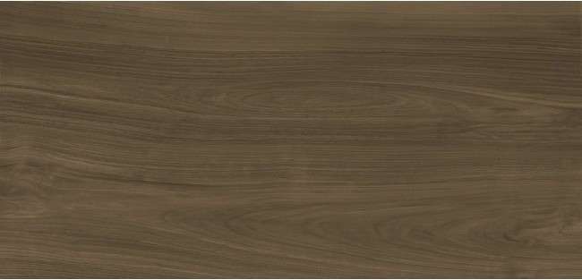 Декор керамогранит X-Light Xlight Ewood Honey Nature 120x250 (2500x1200)