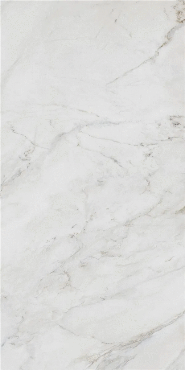 White Polish Rec 60x120 (600x1200)