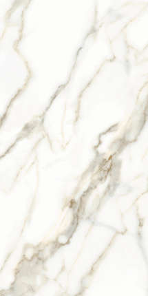 Zerde tile Carrara White 60x120