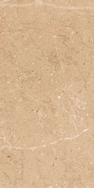 Beige  30x60 (300x600)