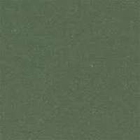 200CA0VEA Декор керамогранит Winckelmans cx.20 GREEN AUSTRALIAN VEA 20x20 (200x200)