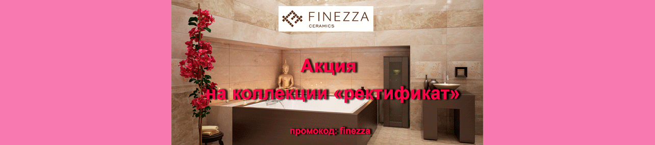  Finneza -   