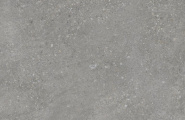 Protiles Pietra PT60F7047 Pietra Grey Matt 600x600x9 фото-4