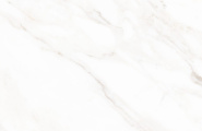 Neodom Classic Marble N40059 Calacatta Polished 60x120 фото-2