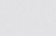 Vizavi Пепел ZA-L12502 Пепел Матовый 1200x600x9 фото-5