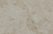 Kerama Marazzi Сплит KM6060G1261R8ALT Подступенок Сплит бежевый матовый обрезной 60x14,5x0,8 фото-5