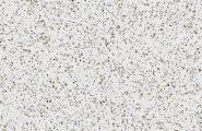 Estima Cosmos CM00 Cosmos White Неполированный Рект. 80x80x10 фото-6