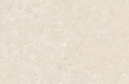 Global Tile Ракушка / Shell GT1206025402MHRR Ракушка / Shell Бежевый 60x120 фото-5