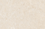 Global Tile Ракушка / Shell GT1206025402MHRR Ракушка / Shell Бежевый 60x120 фото-16