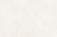 LCM Невел / Nevel 60120NEV00M Невел Белый / Nevel White матовый карвинг 600x1200x7 фото-8