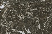 Serenissima Palazzo St.Laurent Tabac Silk Rett 60x120 фото-5