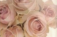 Mainzu Lucciola Decor Cuore 20x20 mix фото-8