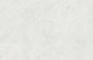 Benadresa Cristal Cristal White Pulido Rect 60x120 фото-16
