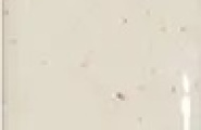 Wow Sabil 139339 Sabil Fit Flour 2,8x15 фото-3