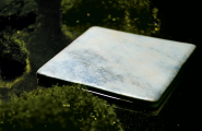 Vestige