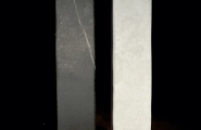 Vestige