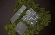 Vestige