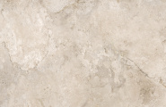 NT Ceramic Natural Stone NTT9530DM Natural Stone Матовая кристалл 60x120 фото-10