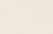 Prissmacer Texture Texture Light Mate 60x120 фото-2