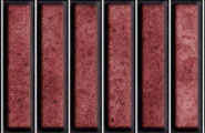 El Barco Domino Domino Cobre Glossy 15x30 фото-3