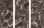 Staro Bogema Rubi Red Satin 60x120 фото-3