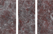 Staro Palacio  Neo Amazonite Cherry High Gloss 60x120 фото-3