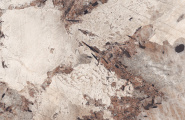 Staro Palacio  Patagonia Warm High Gloss 60x120 фото-2
